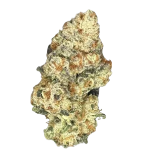 Sour Zoda